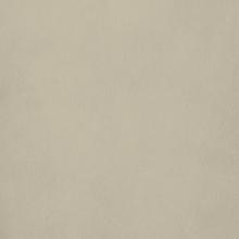 Color MQ20