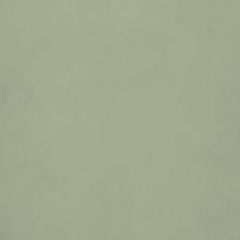 Color MQ22